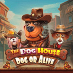 The Dog House